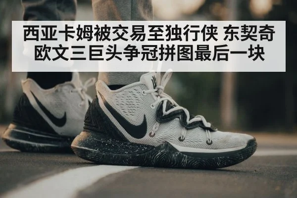 西亚卡姆被交易至独行侠 东契奇欧文三巨头争冠拼图最后一块