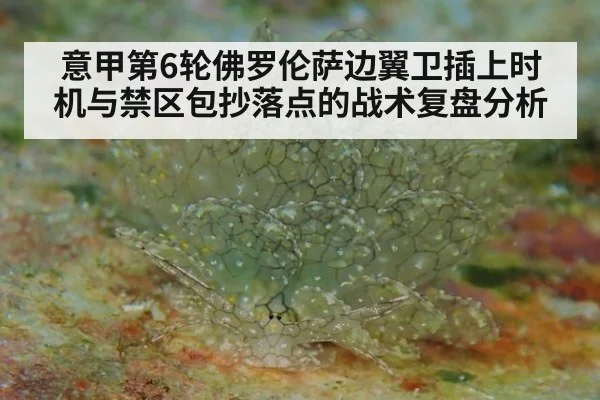 意甲第6轮佛罗伦萨边翼卫插上时机与禁区包抄落点的战术复盘分析
